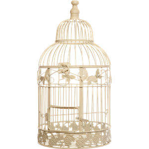 Cage bird PNG-41390